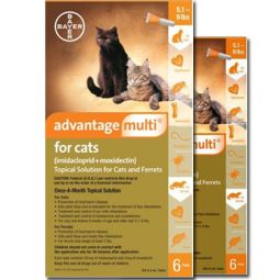 Advantage Multi for Cats 5.1-9 lbs 12 Month